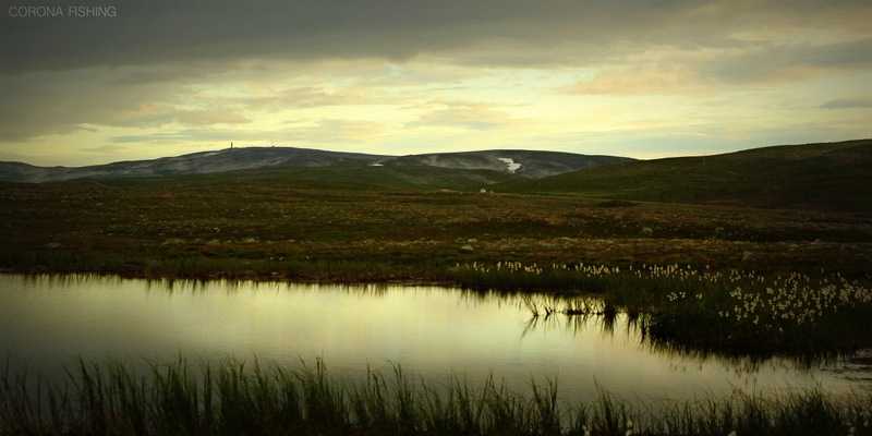 Tam gdzie zaczynają się strumienie.